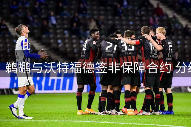 鹈鹕与沃特福德签非保障合约 分级保障条款曝光